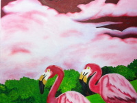 Flamingos