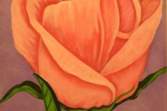A_Flower_for_Anne